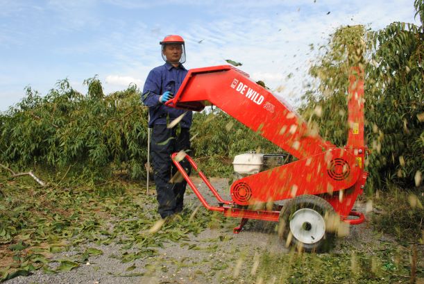 桃園廢棄枝條處理 桃園廢棄枝條處理